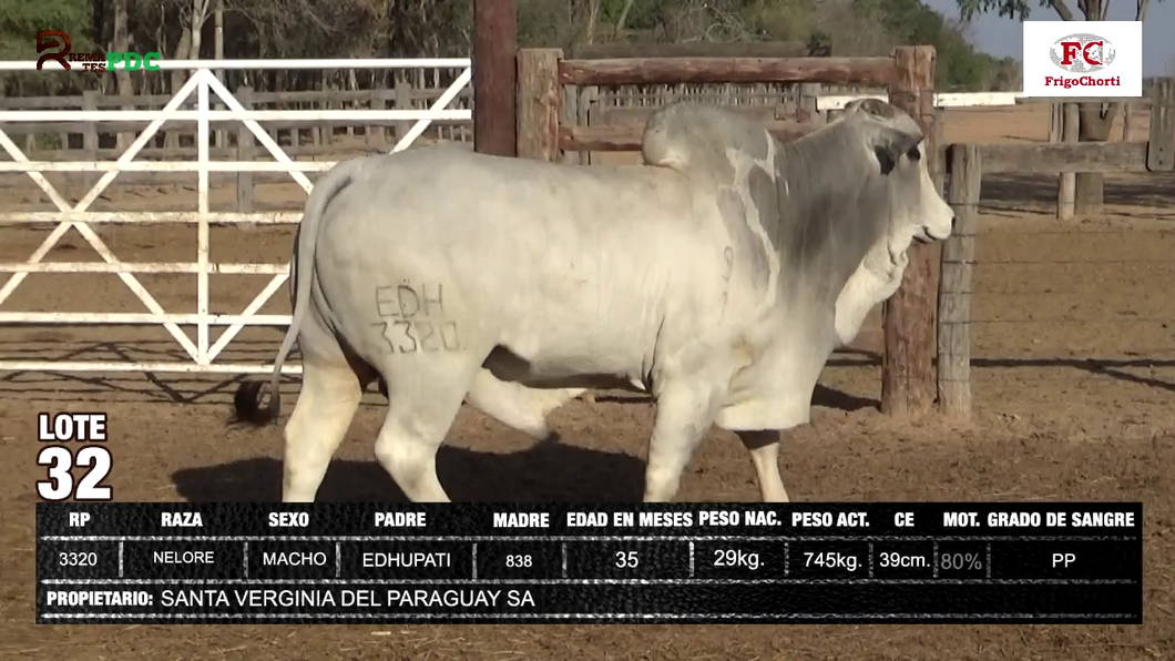 Lote SANTA VERGINIA DEL PARAGUAY SA