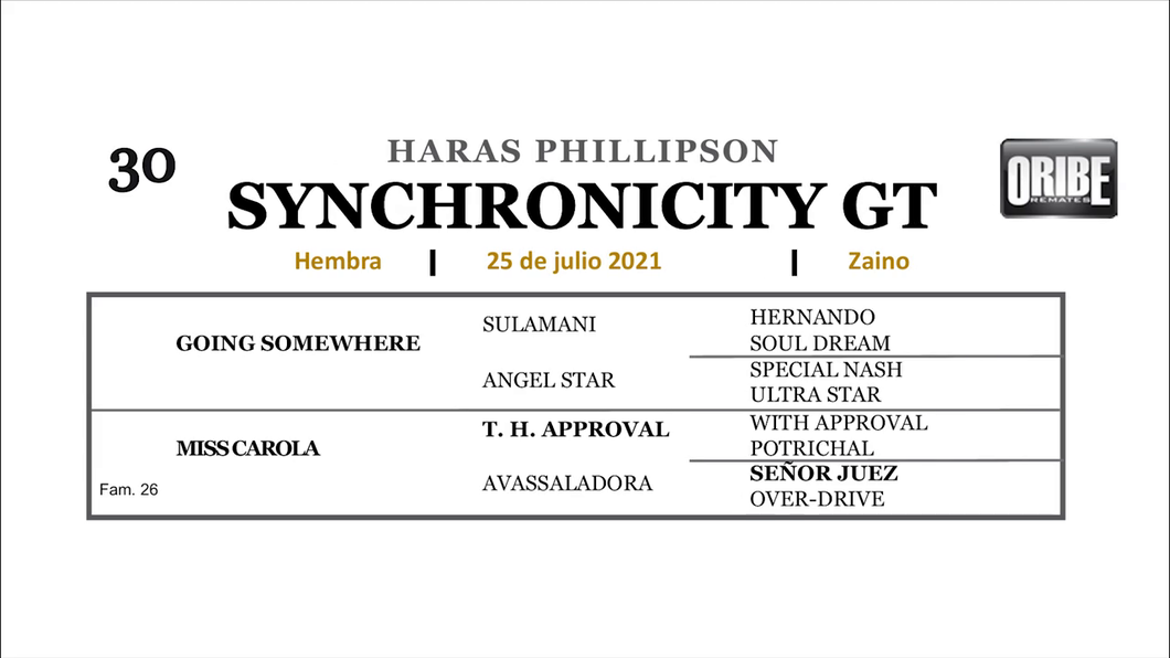 Lote SYNCHRONICITY GT