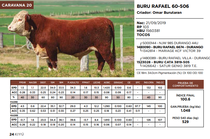 Lote BURU RAFAEL 60-506   (GRUPO 2)