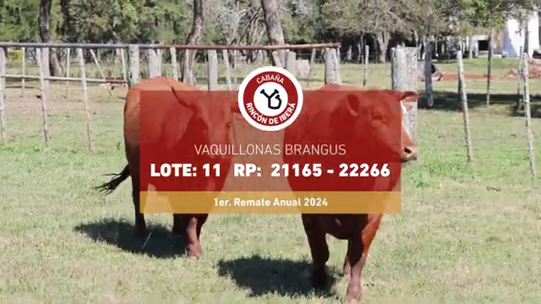 Lote RINCON IBERA 22266