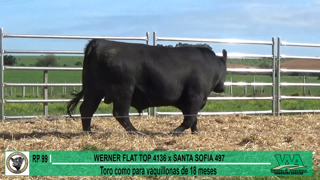 Lote Toros a remate en Cabaña La Franqueira, Florida