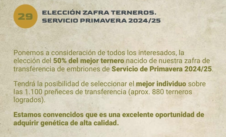 Lote LOTE 29