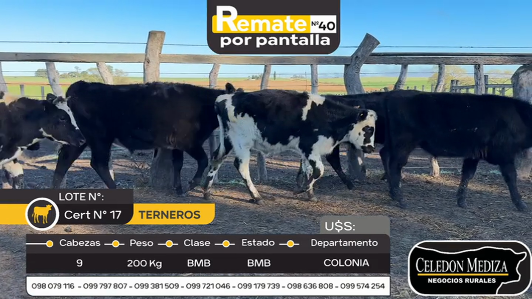 Lote 9 Terneros en La Horqueta, Colonia