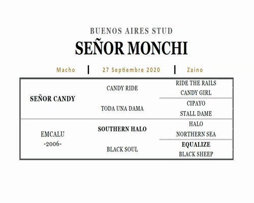 Lote SEÑOR MONCHI (SEÑOR CANDY - EMCALU)