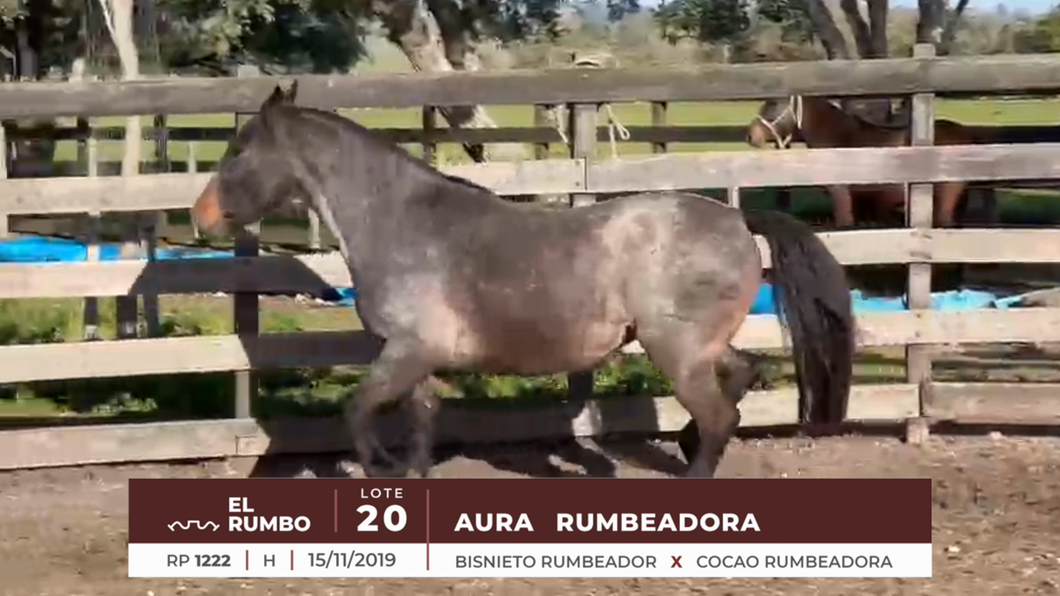 Lote AURA RUMBEADORA