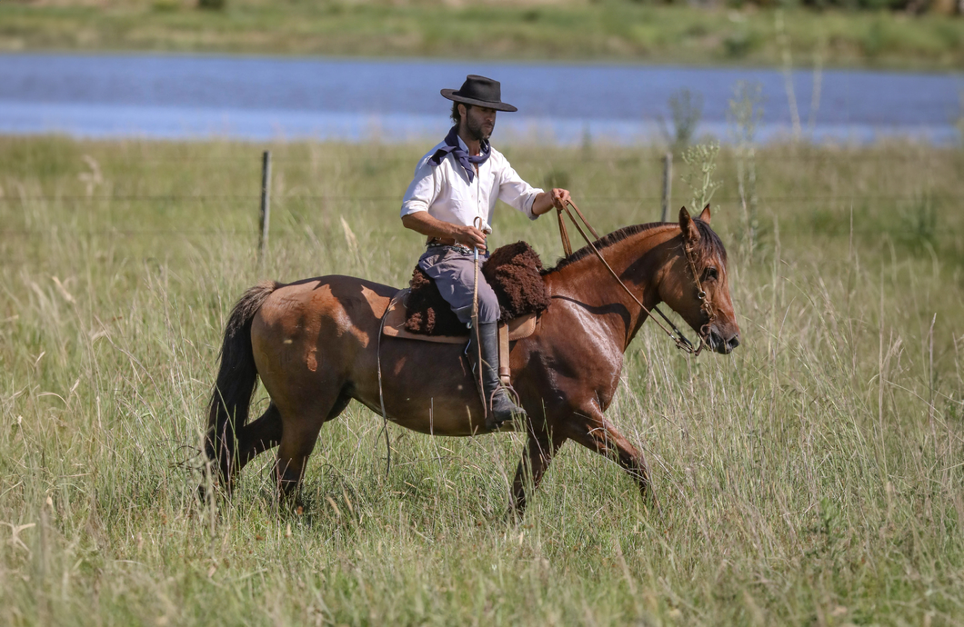 Lote DEL SILENCIO HORTENCIA