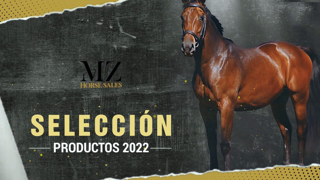 Lote GARCIGRANDE (WINNING PRIZE -  GRAN TORMENTA por  ZENSATIONAL)