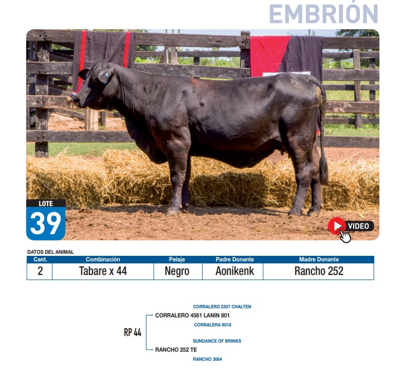 Lote Tabare x 44