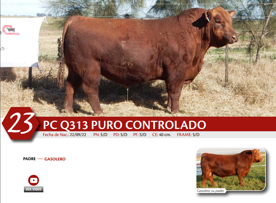 Lote MACHO PC