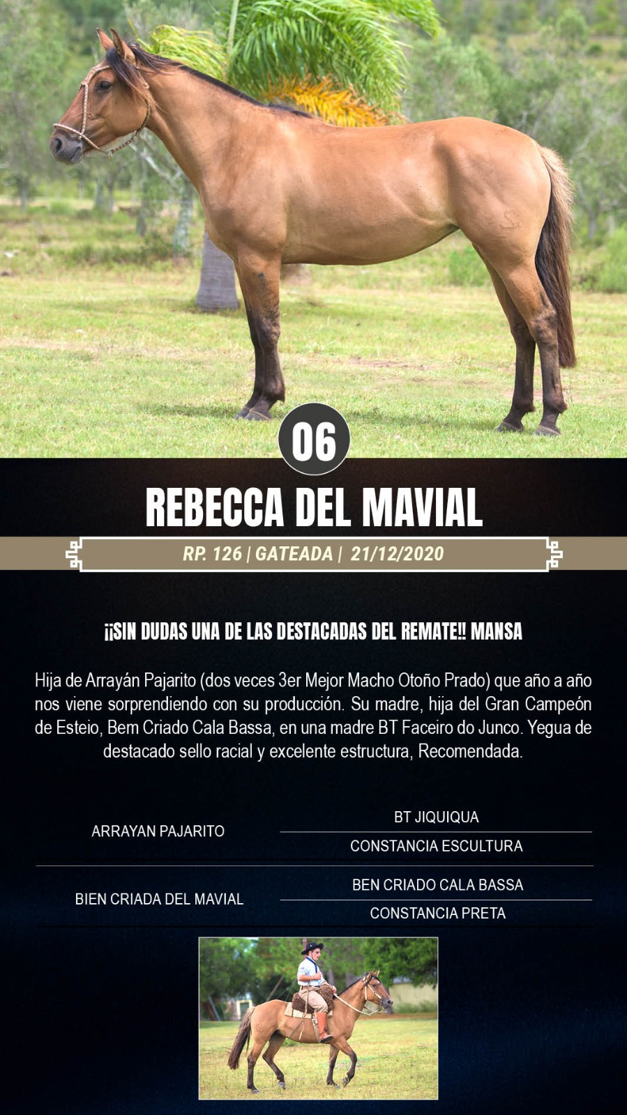 Lote Rebecca del Mavial