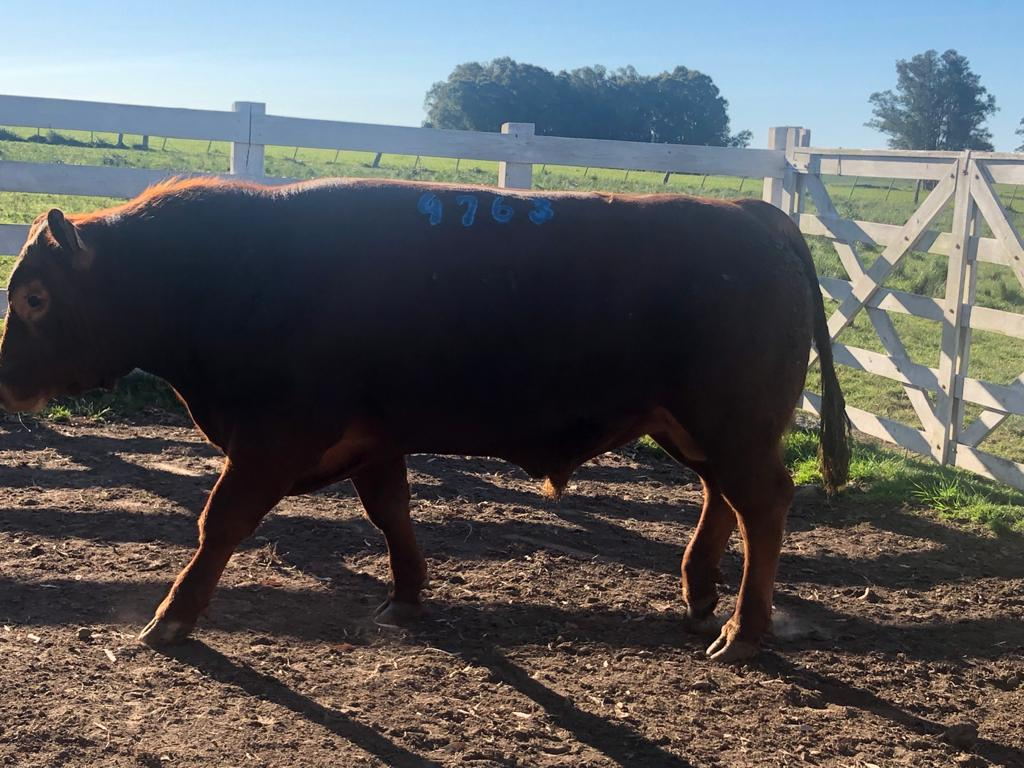 Lote LOTE 12