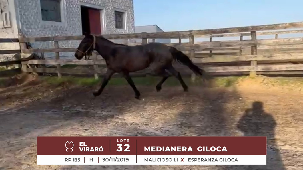 Lote MEDIANERA GILOCA