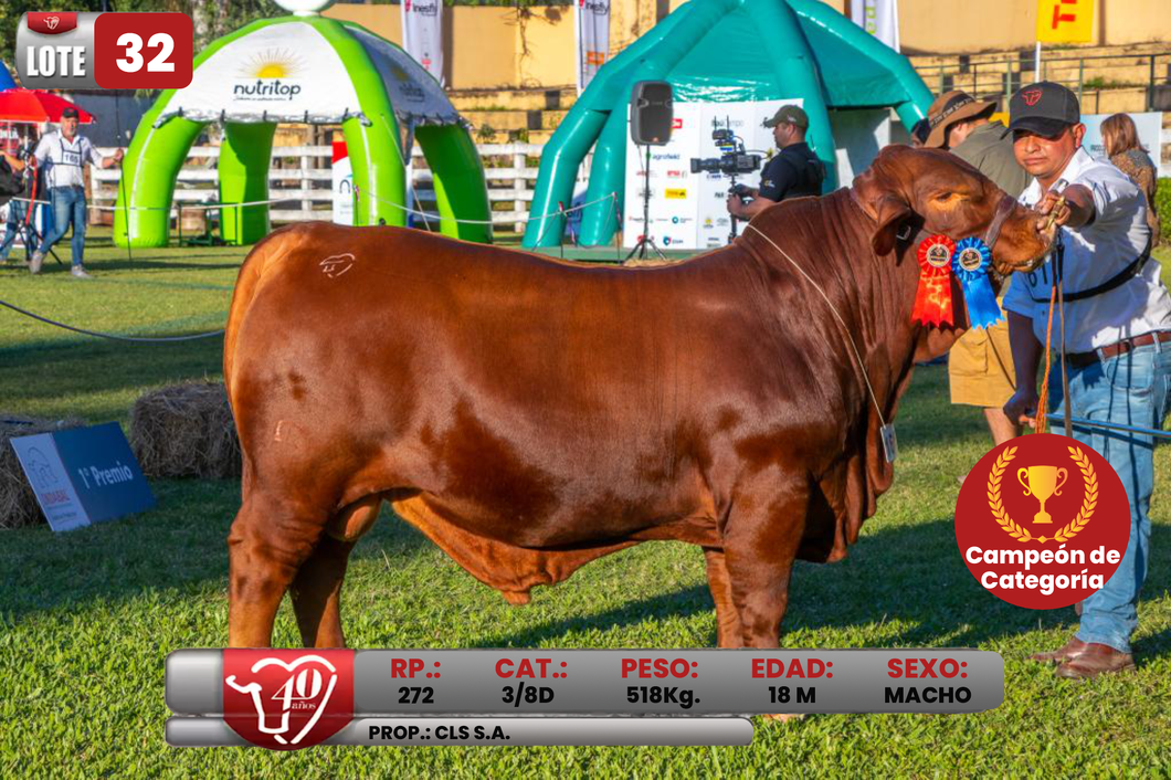 Lote LOTE 32