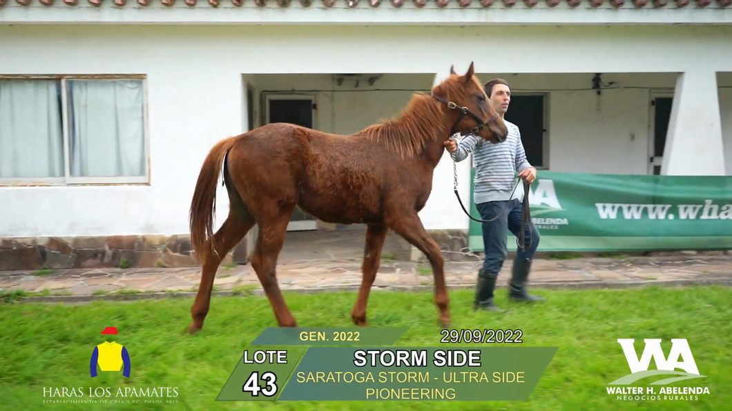 Lote TORM SIDE