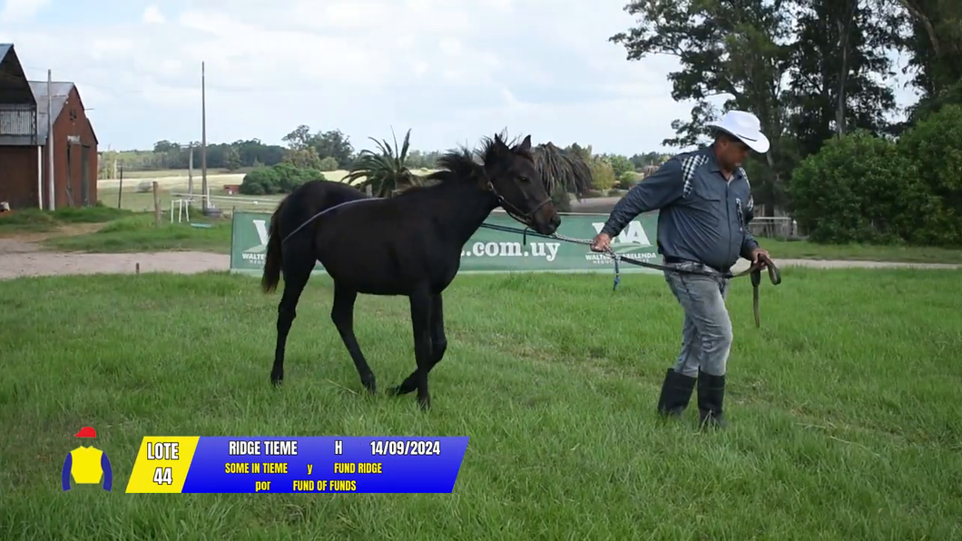 Lote RIDGE TIEME