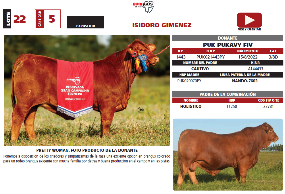 Lote LOTE 22