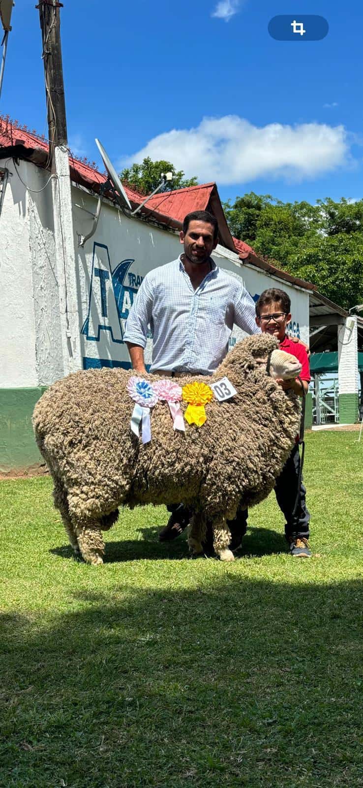 Expo Chiflero