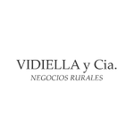 Vidiella y Cía