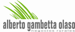 Alberto Gambetta