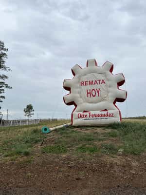 Nosotros