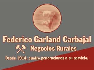 Empresa Escritorio Federico Garland Carbajal