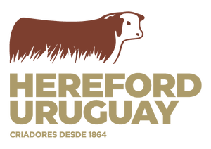 Asamblea Hereford