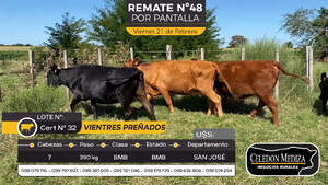  7 Vientres Preñados en Otra Localidad, San José