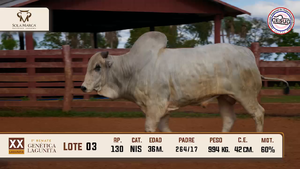 Lote 3 — Sola Marca SA