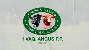  2 Vaquillonas PP en Corrientes, Curuzu Cuatia