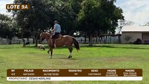  LOTE 9 A- BOZAL
