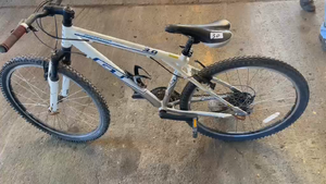 Lote BICICLETA BLANCA