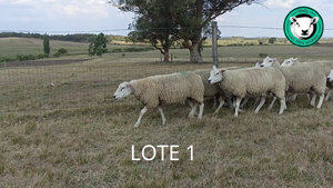  Lote 1 - Las Tres Marìas