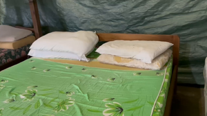 Lote cama 2 plazas colchon y almohadas 