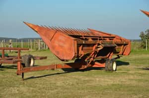 Lote Girasolero Mainero 1035