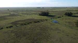 CAMPO EN EXCLUSIVIDAD