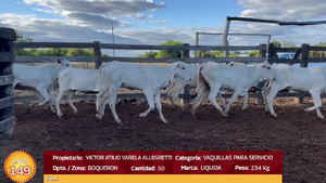  LOTE 149