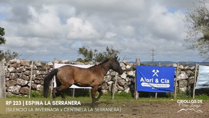 Espina La Serranera — Escritorio Alori y Cia.