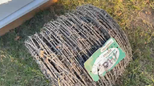 Lote ROLLO DE ALAMBRE DE PÚAS 500