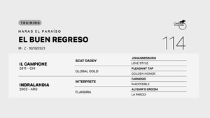  EL BUEN REGRESO