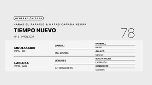  TIEMPO NUEVO