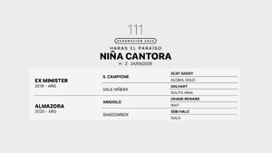  NIÑA CANTORA