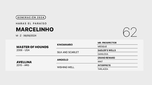  MARCELINHO