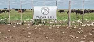 M Y H- Olavarría Bs As — CAMPOS Y GANADOS S.A.