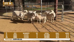  LOTE 94