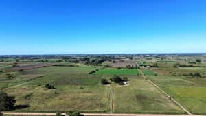  Chacra 11 Has A 50 Km De Montevideo, Gran Ubicacion Y Productividad