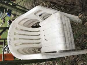 Lote SILLAS DE PLASTICO (4)