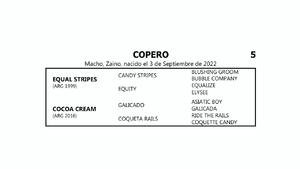  COPERO (EQUAL STRIPES -  COCOA CREAM por GALICADO)