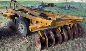 Lote Excentrica Tatu 