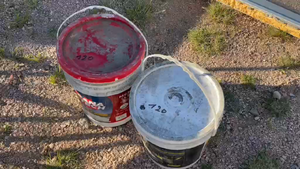 Lote 2 TARROS DE PINTURA