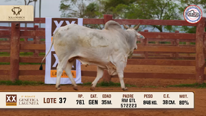 Lote 37 — Sola Marca SA